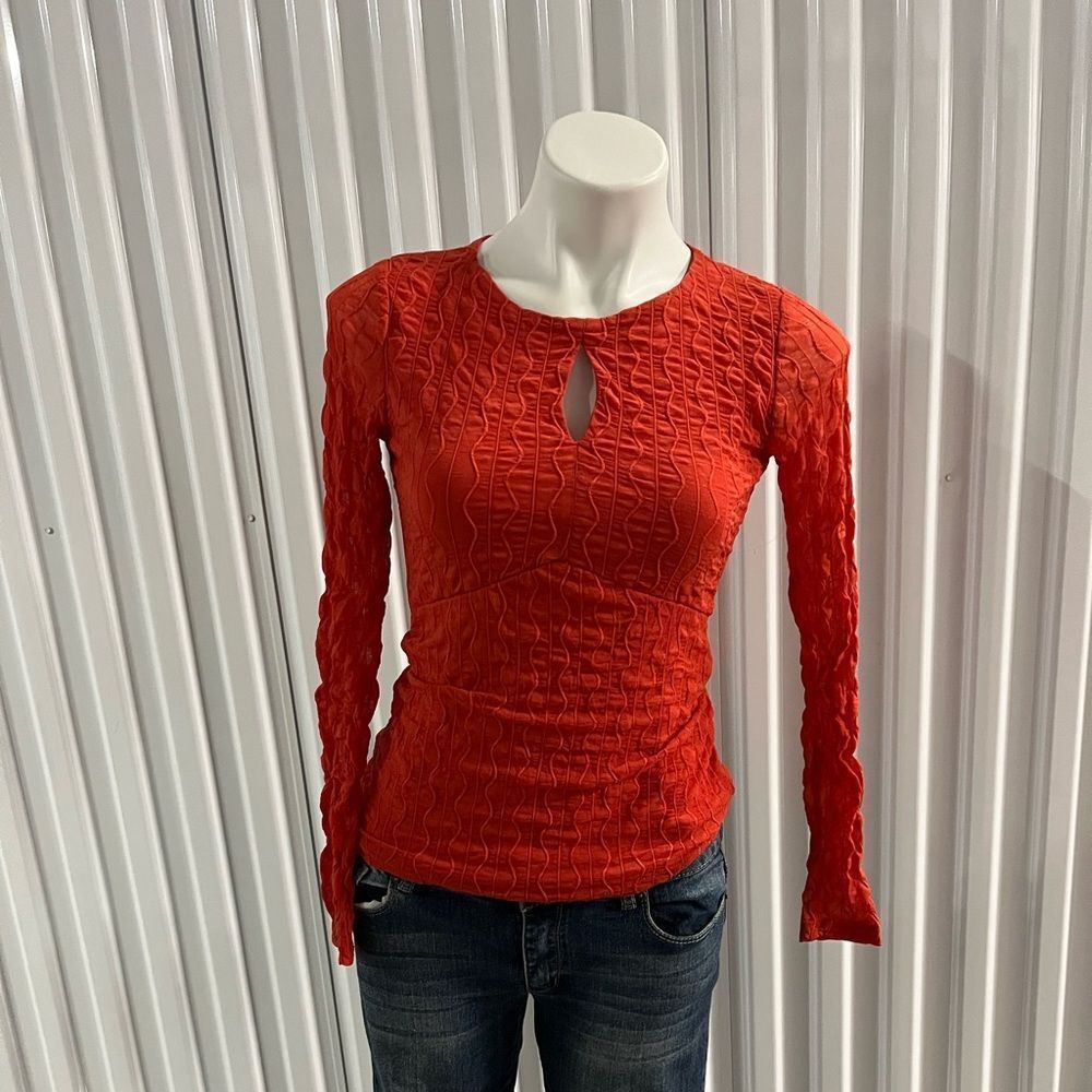 A.U.W top with sheer sleeves size small